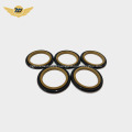 Hydraulic piston rod PTFE bronze GSI seals